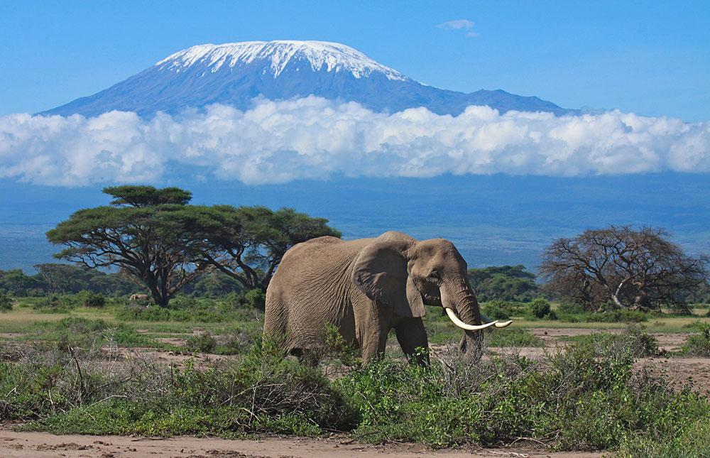 3 Days Amboseli