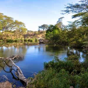 Mara-Nakuru-Naivasha-Amboseli-Tsavo-Beach