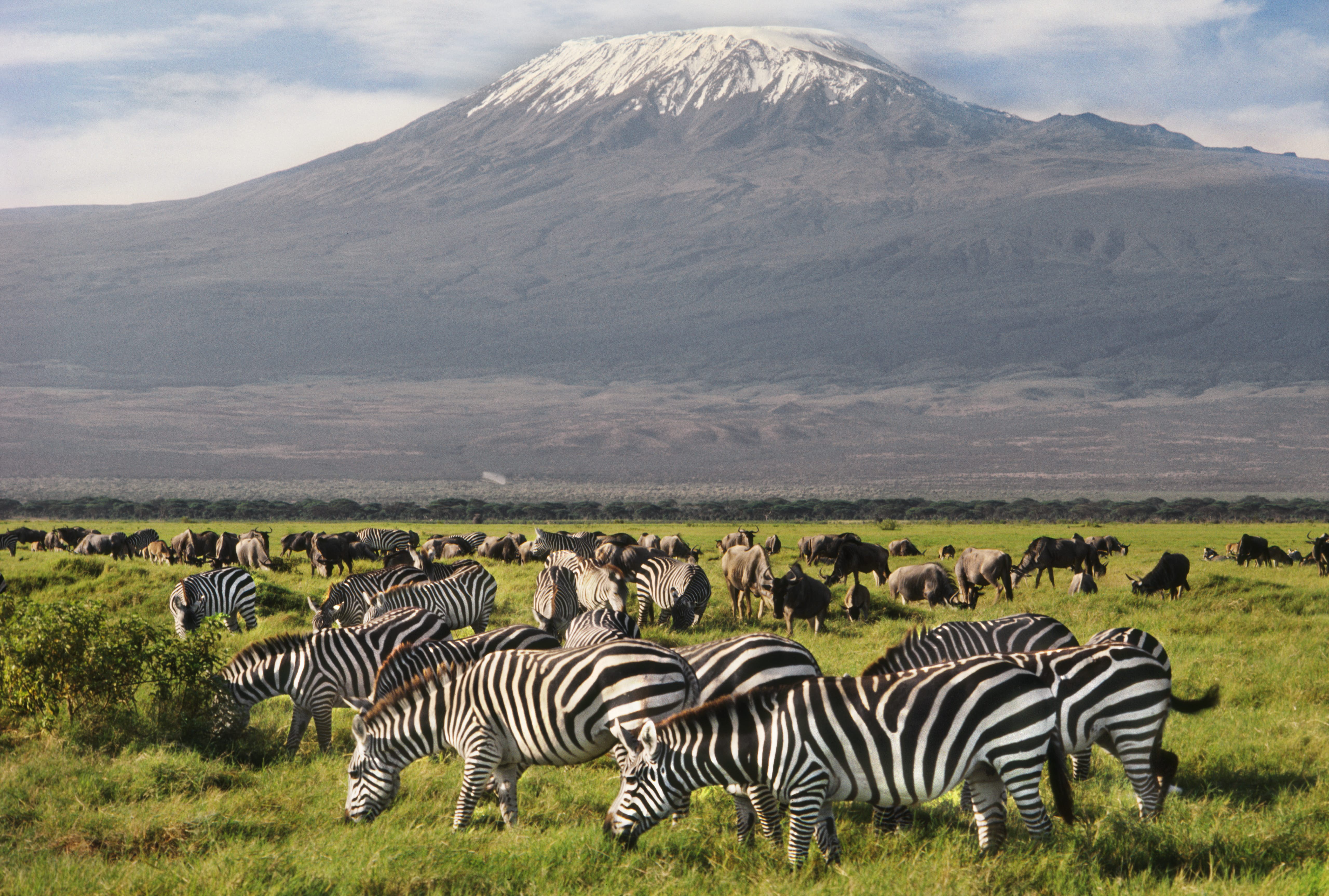 3 Days Amboseli -Tsavo - Nairobi.