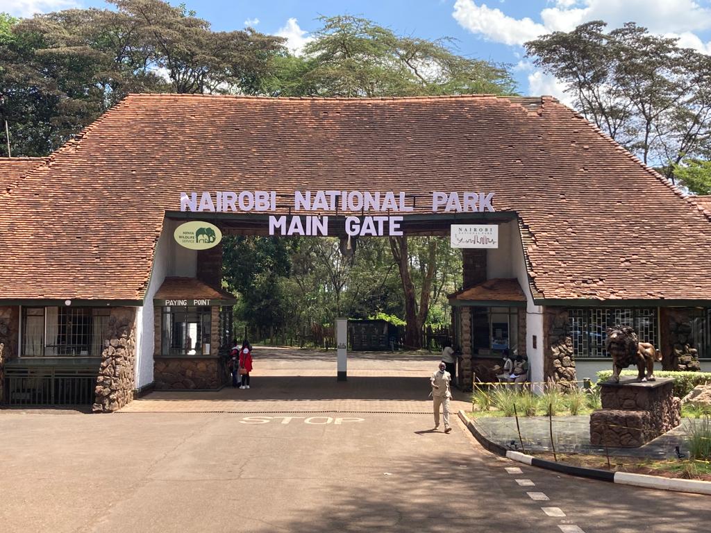 Safari Image