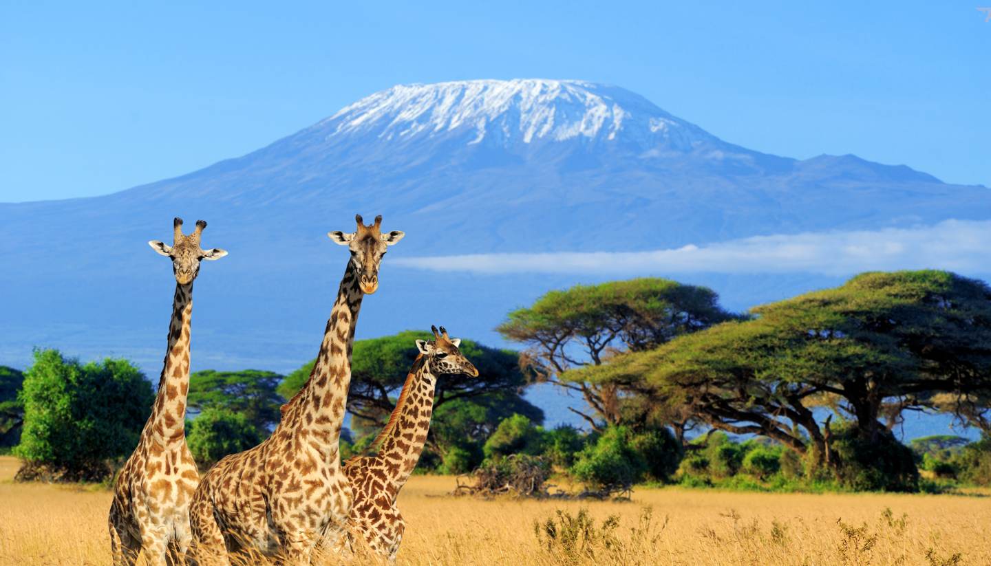3 DAYS NAIROBI-AMBOSELI-NAIROBI