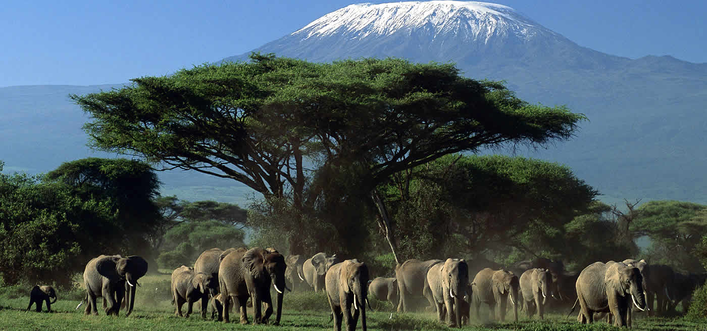 Amboseli-Nakuru-Maasai Mara